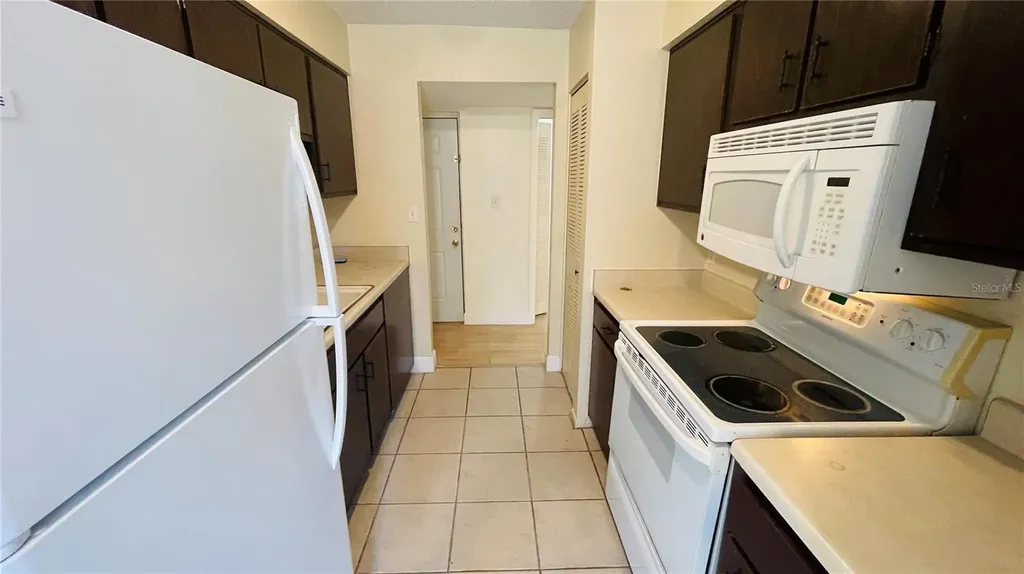 7504 Needle Leaf Place Tampa FL 33617