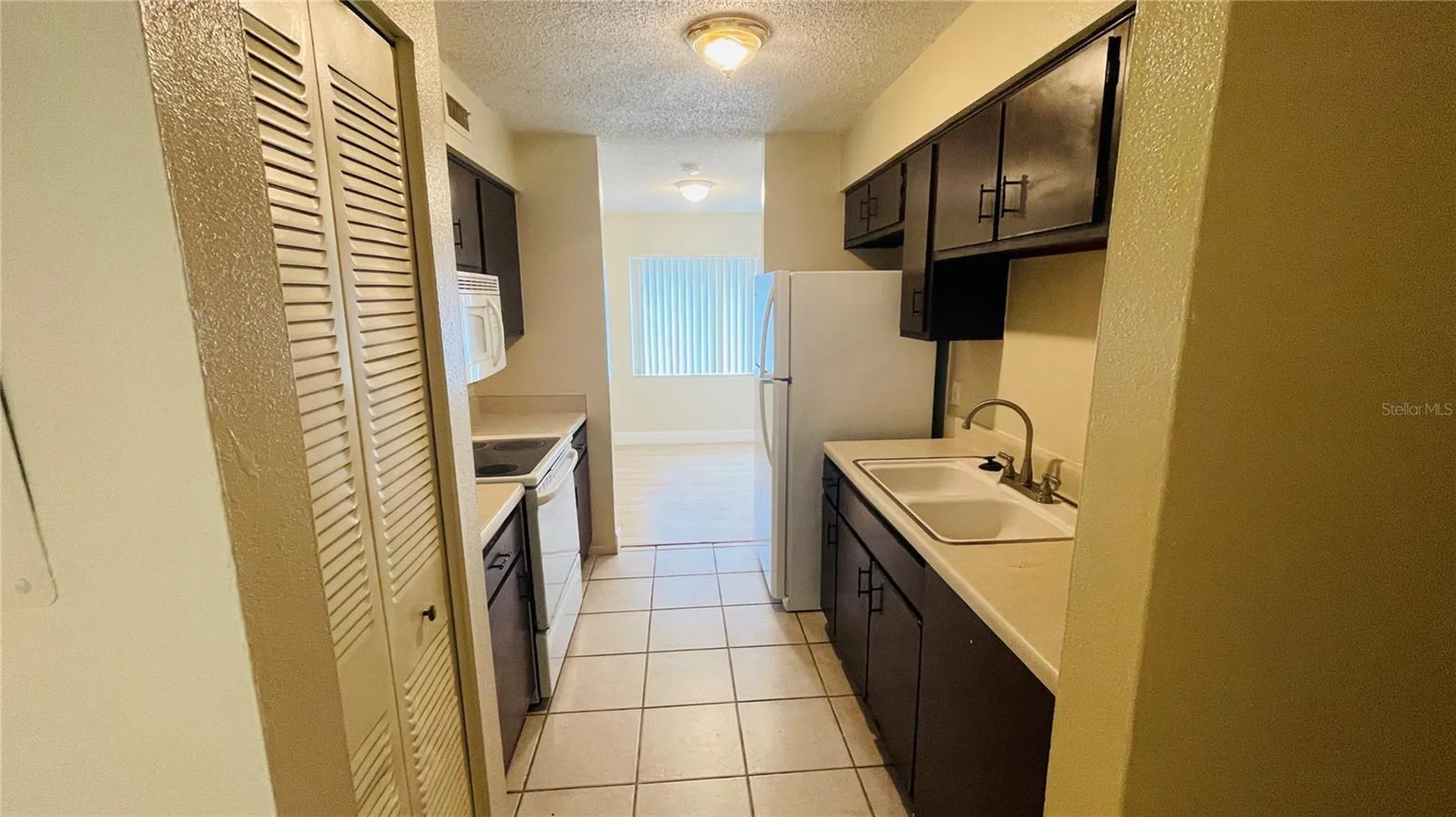7504 Needle Leaf Place Tampa FL 33617