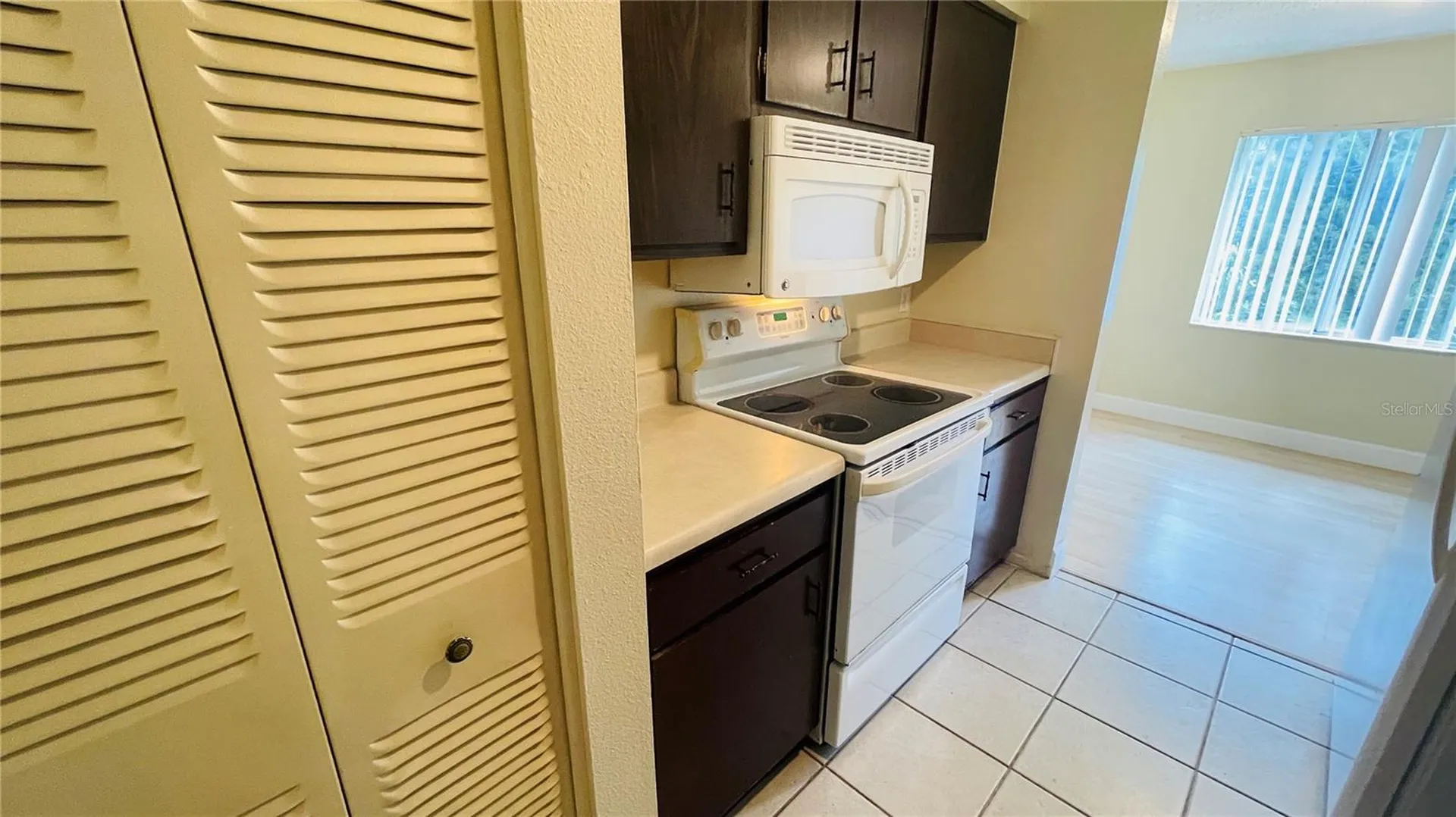7504 Needle Leaf Place Tampa FL 33617