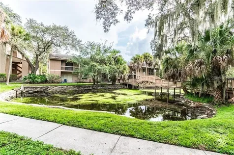 7504 Needle Leaf Place Tampa FL 33617