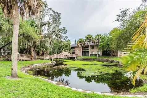7504 Needle Leaf Place Tampa FL 33617