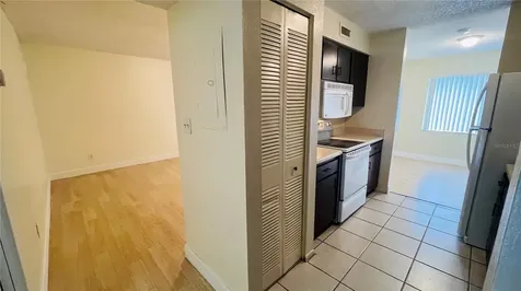 7504 Needle Leaf Place Tampa FL 33617