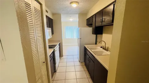 7504 Needle Leaf Place Tampa FL 33617