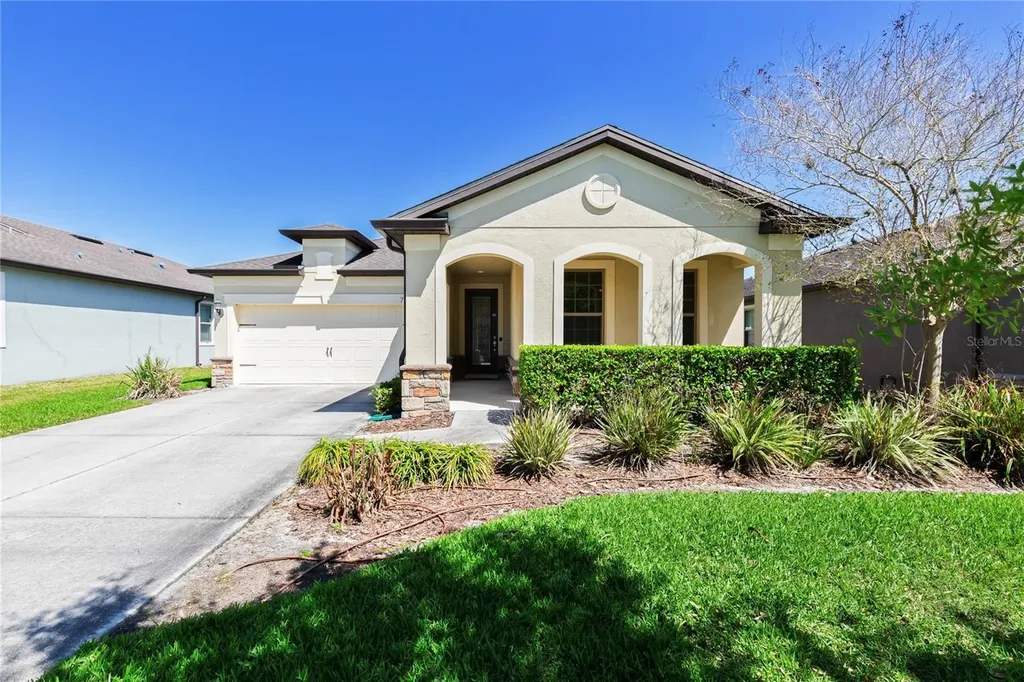 7966 Olive Brook Drive Wesley Chapel FL 33545