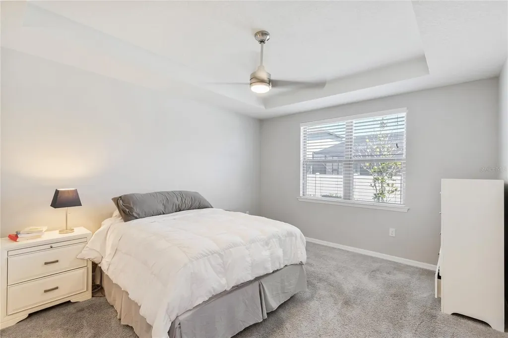 7966 Olive Brook Drive Wesley Chapel FL 33545