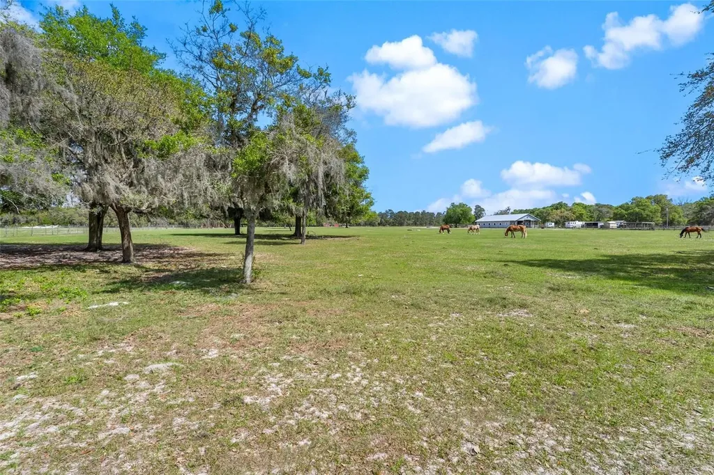 Winterwillow Lane Eustis FL 32736