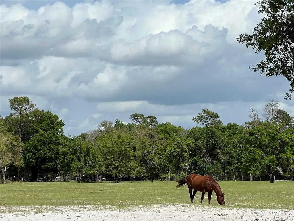 Winterwillow Lane Eustis FL 32736