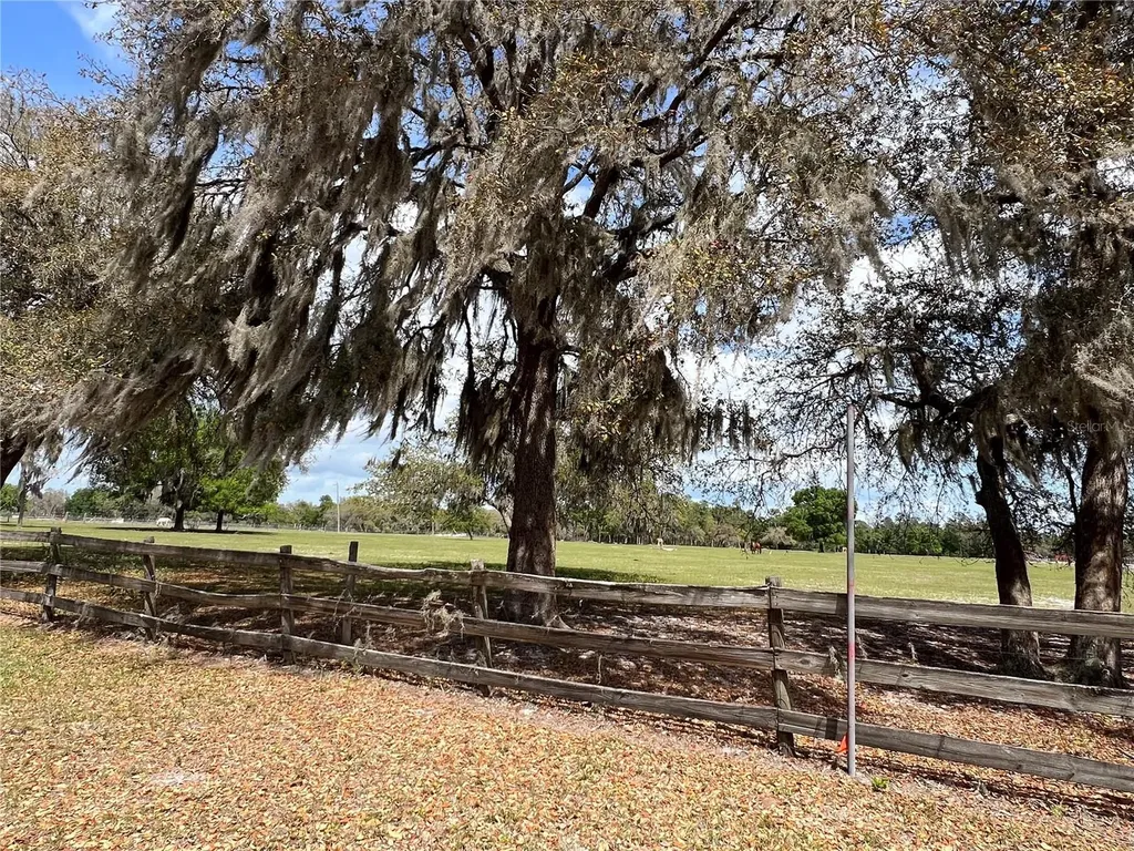 Winterwillow Lane Eustis FL 32736
