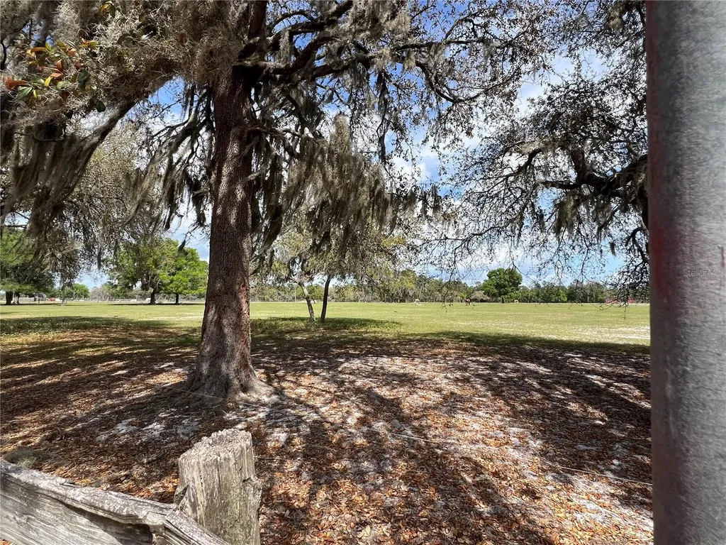 Winterwillow Lane Eustis FL 32736