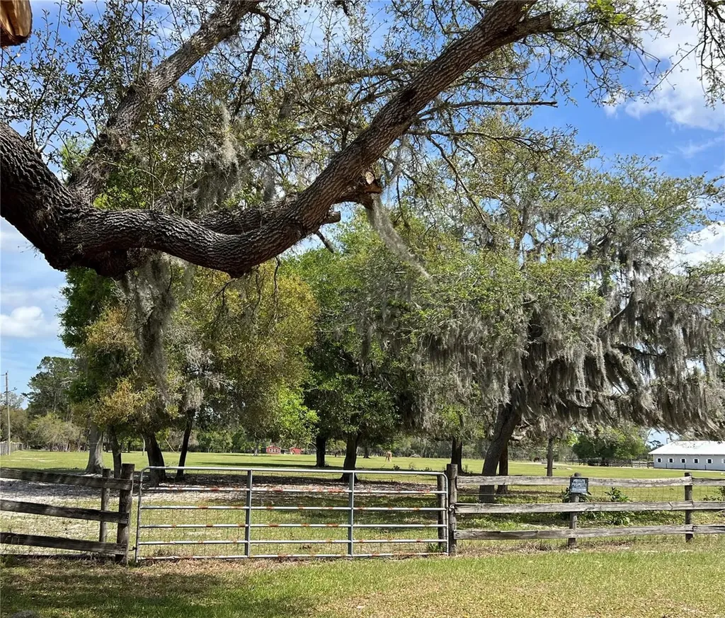 Winterwillow Lane Eustis FL 32736