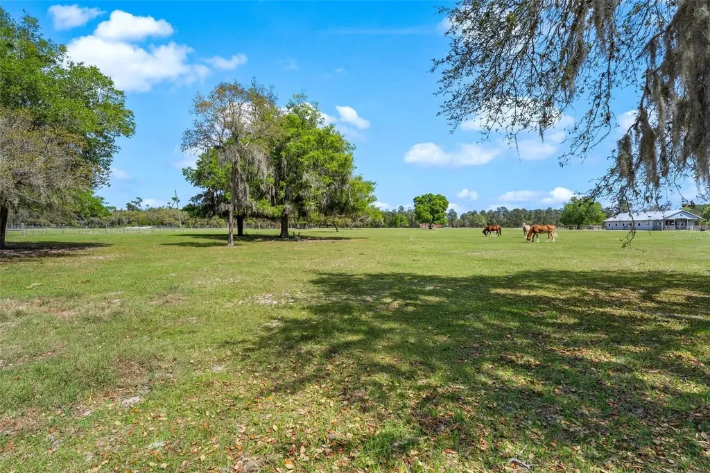 Winterwillow Lane Eustis FL 32736