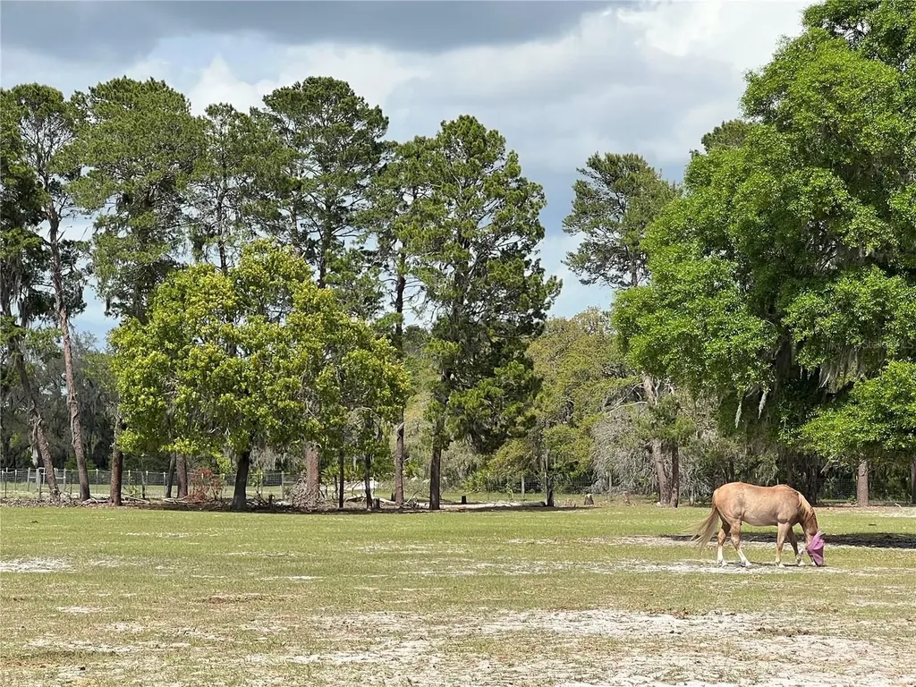 Winterwillow Lane Eustis FL 32736