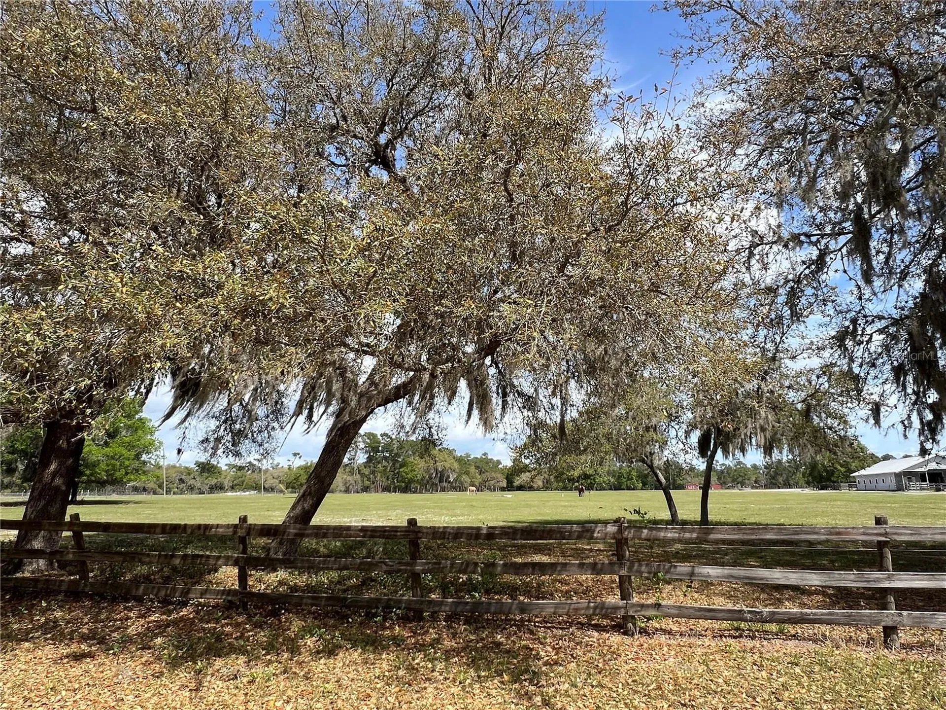 Winterwillow Lane Eustis FL 32736