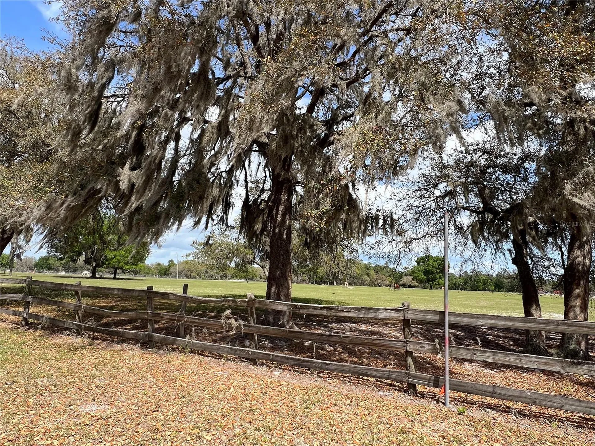 Winterwillow Lane Eustis FL 32736