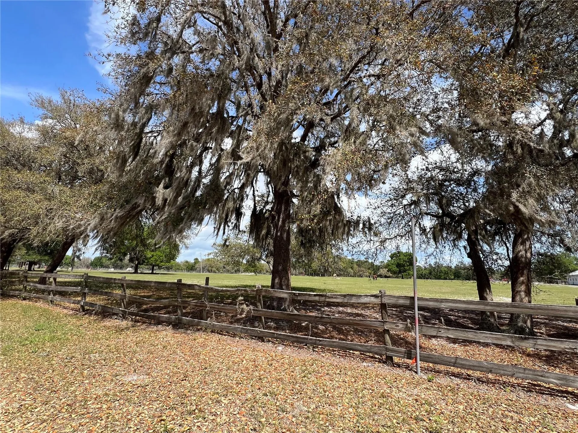 Winterwillow Lane Eustis FL 32736