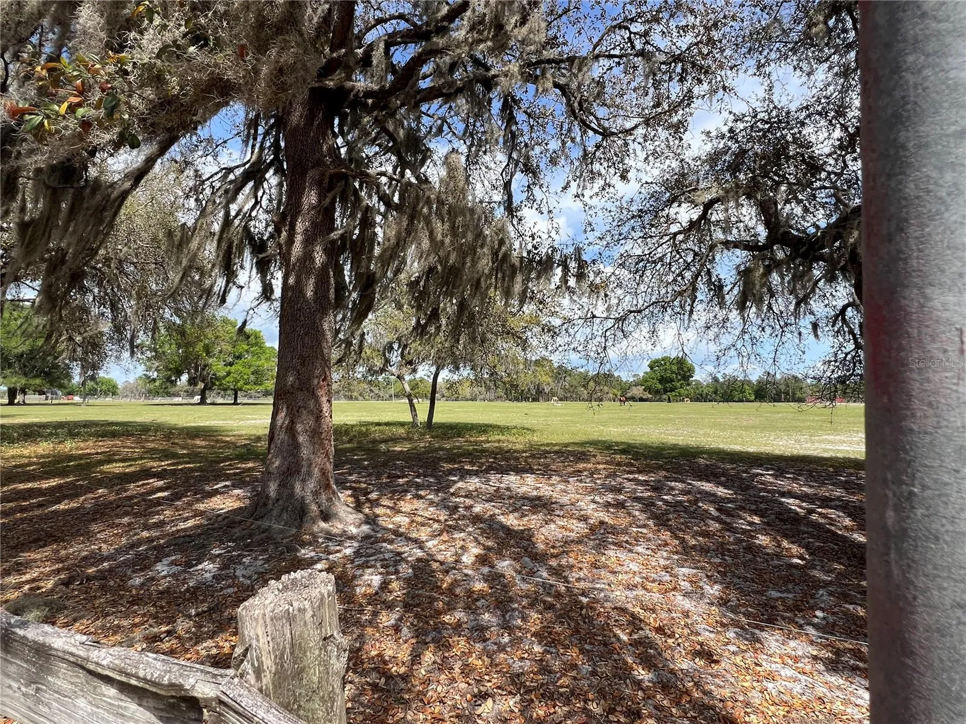 Winterwillow Lane Eustis FL 32736