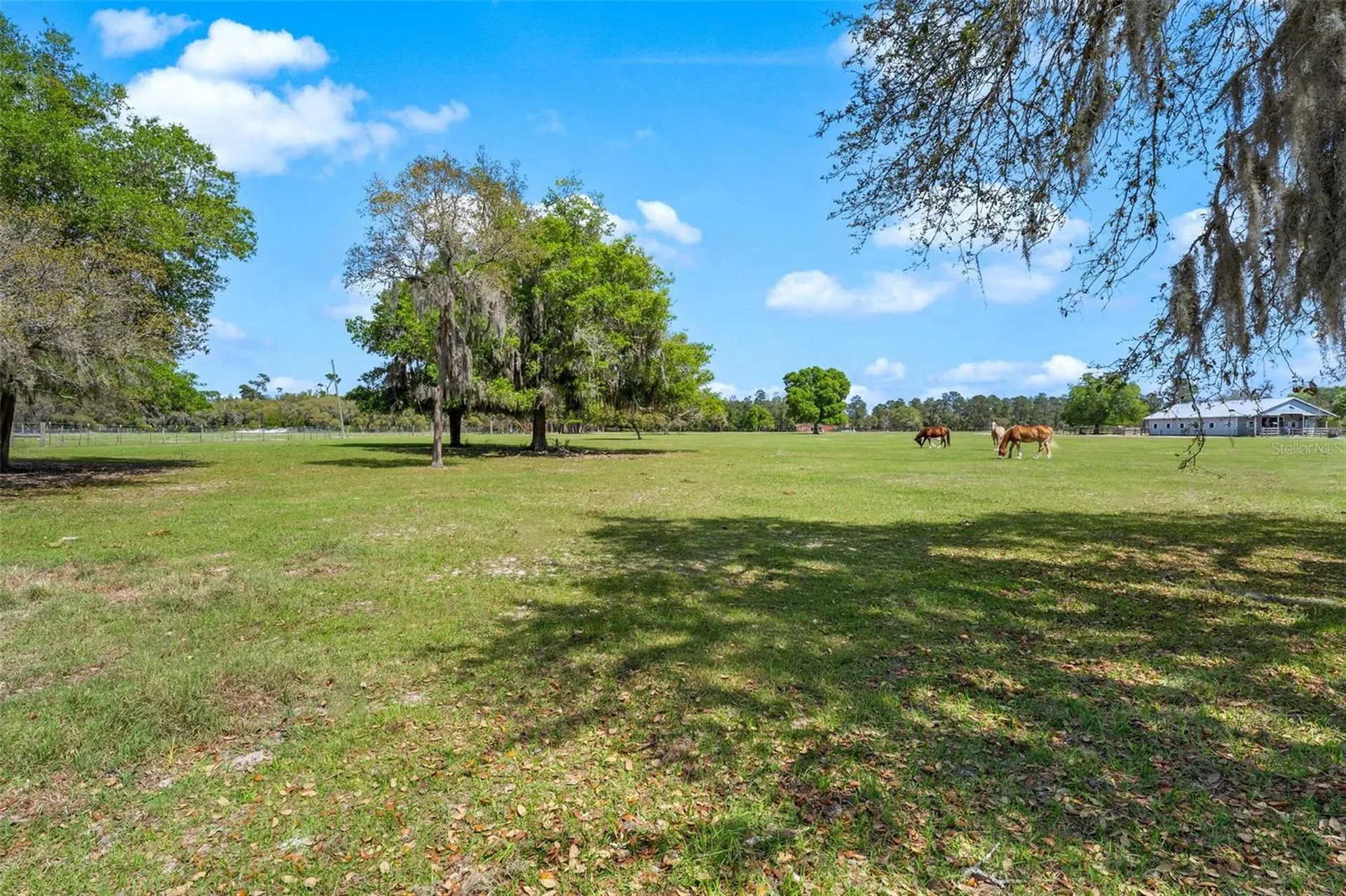 Winterwillow Lane Eustis FL 32736