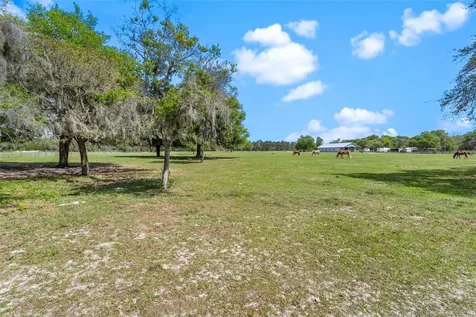Winterwillow Lane Eustis FL 32736