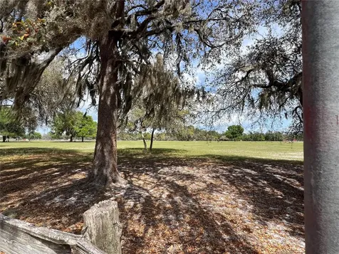 Winterwillow Lane Eustis FL 32736