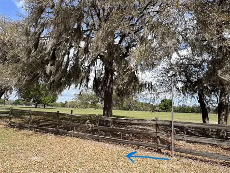 Winterwillow Lane Eustis FL 32736