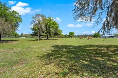 Winterwillow Lane Eustis FL 32736