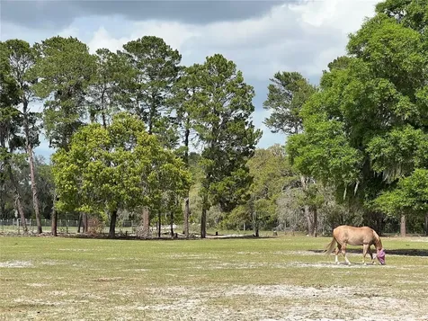 Winterwillow Lane Eustis FL 32736