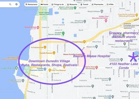 841 Patricia Avenue Dunedin FL 34698