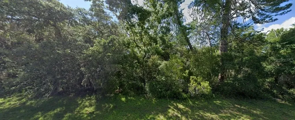 SW 19th Avenue Road Ocala FL 34473