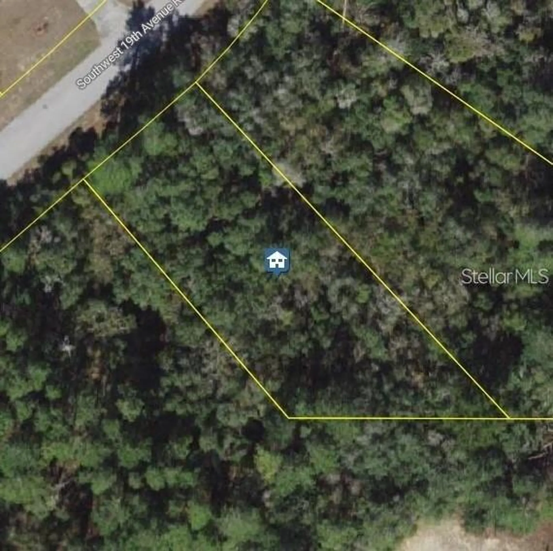 SW 19th Avenue Road Ocala FL 34473