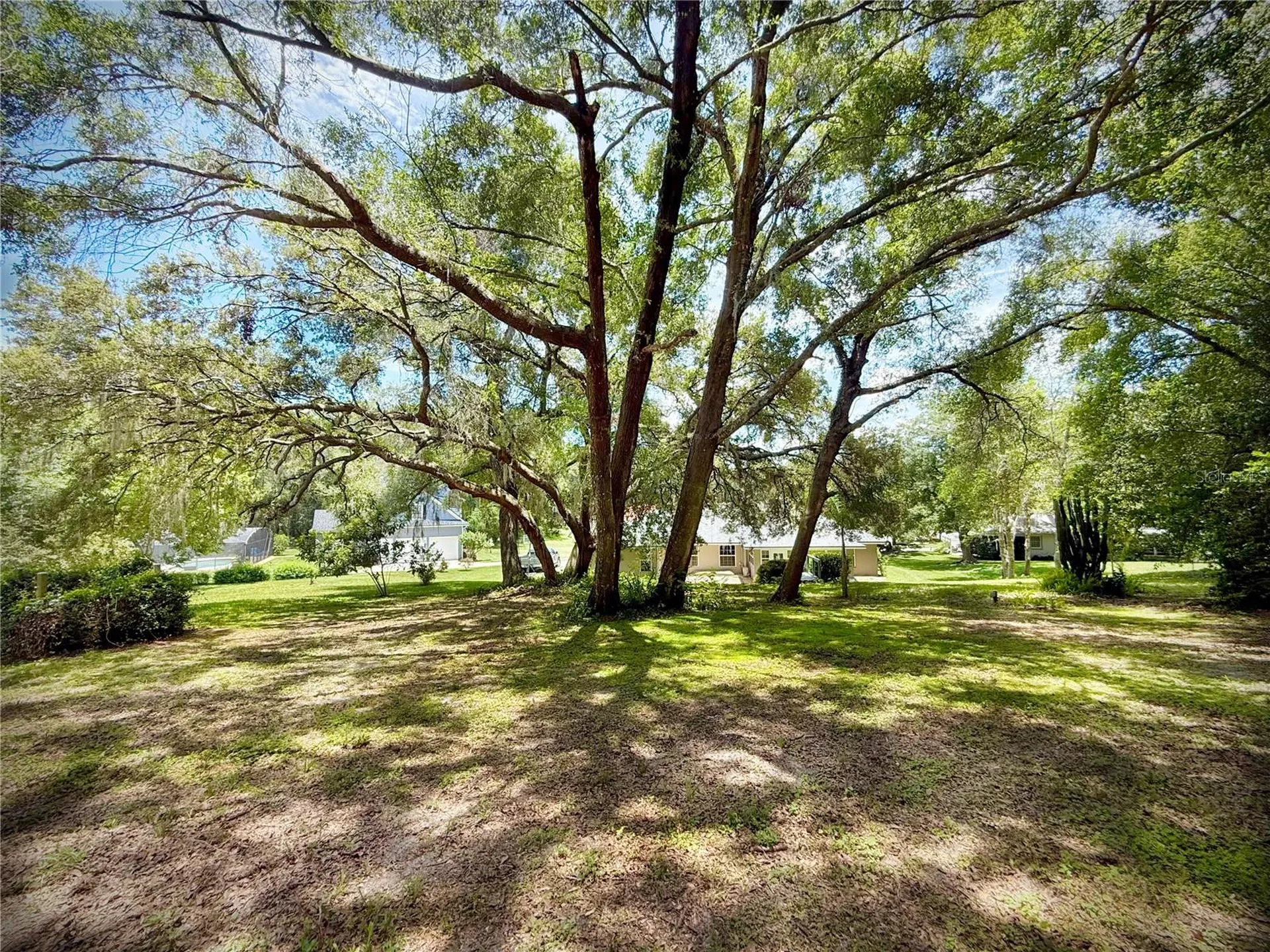 7237 Edmund Court Mount Dora FL 32757