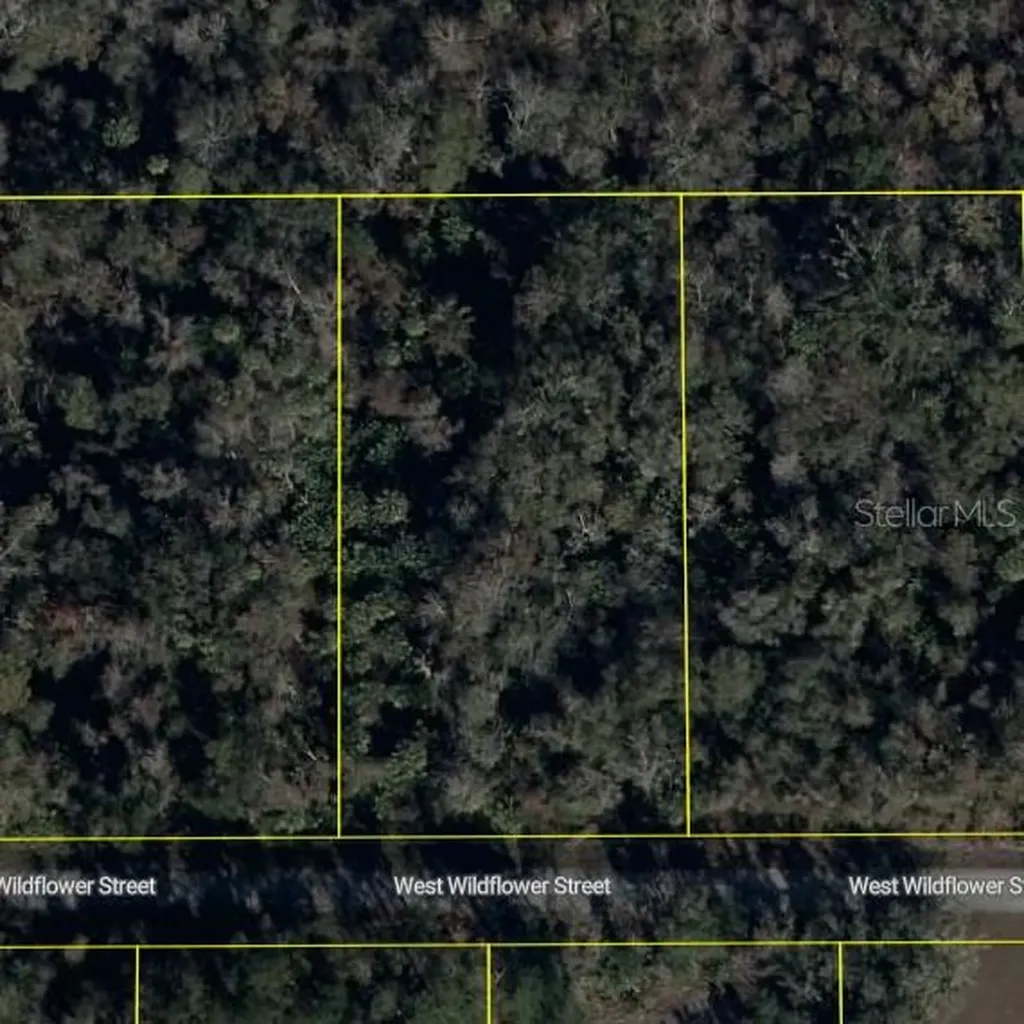 11939 W Wildflower Street Crystal River FL 34428