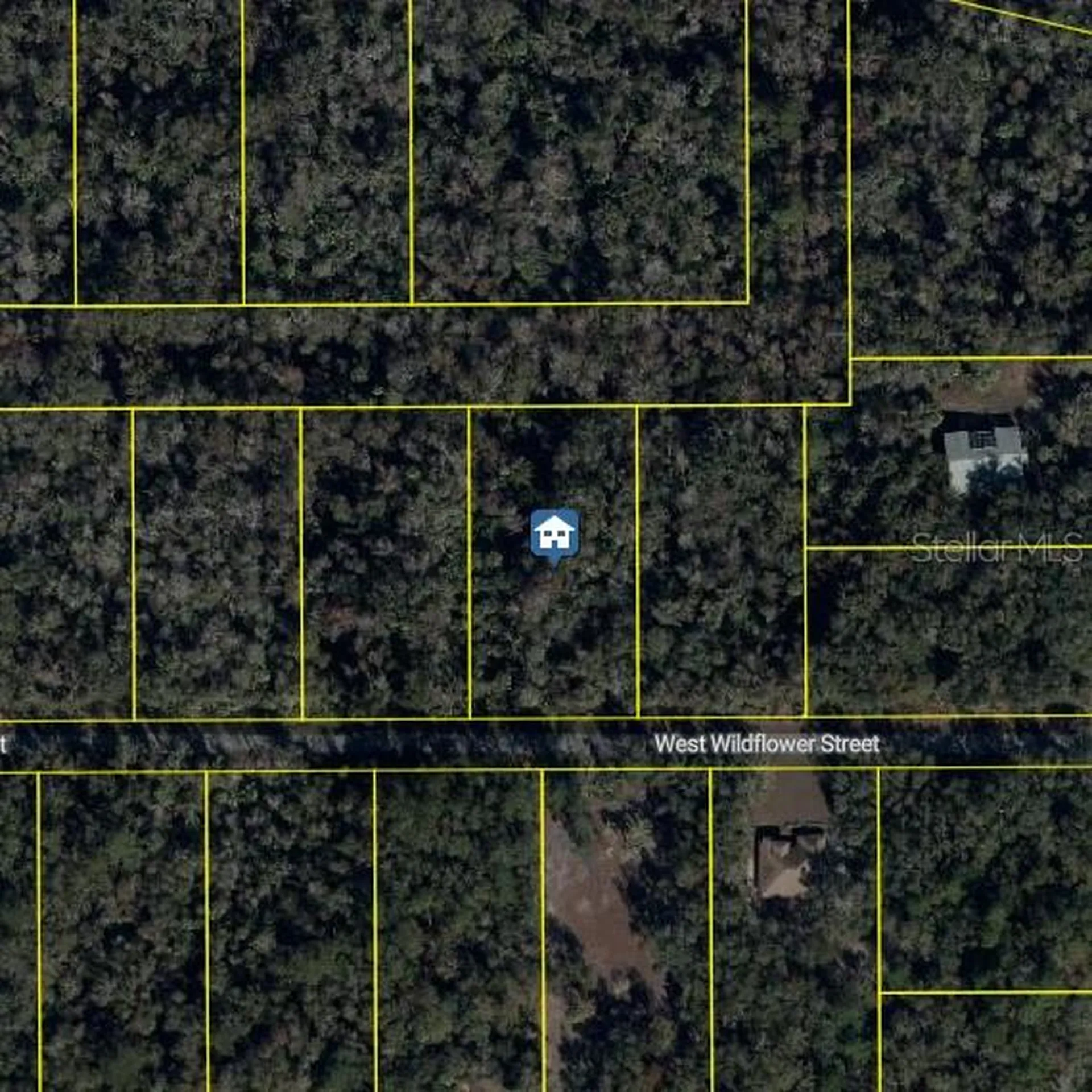 11939 W Wildflower Street Crystal River FL 34428