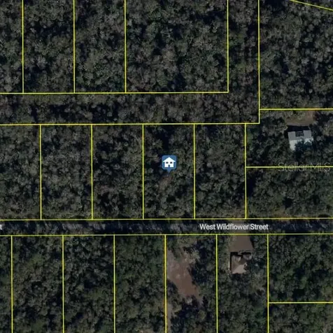 11939 W Wildflower Street Crystal River FL 34428