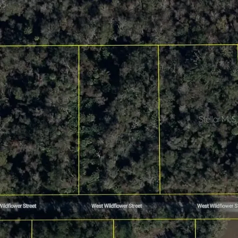 11939 W Wildflower Street Crystal River FL 34428