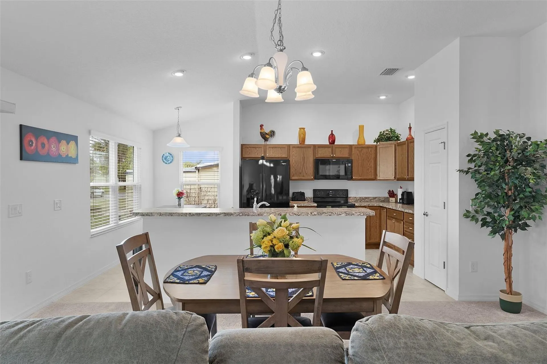 733 Jason Drive Lady Lake FL 32159