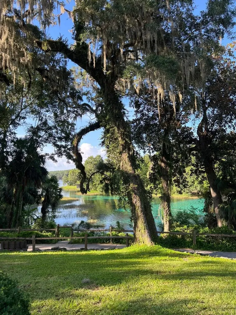 0000 SW Rainelle Road Dunnellon FL 34431