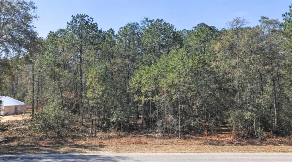 0000 SW Rainelle Road Dunnellon FL 34431