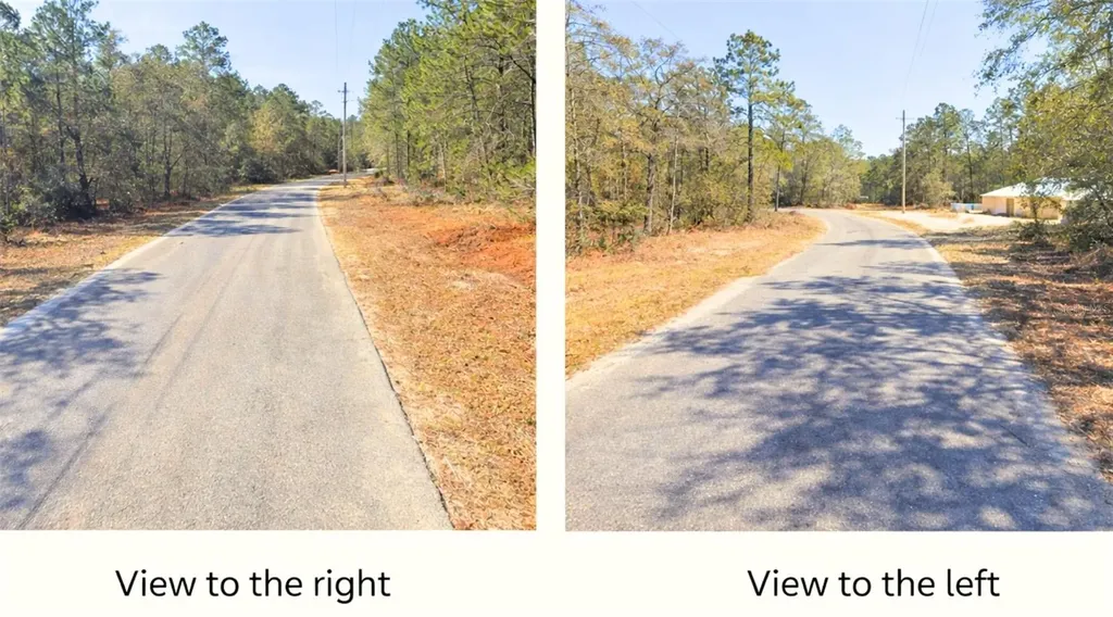 0000 SW Rainelle Road Dunnellon FL 34431