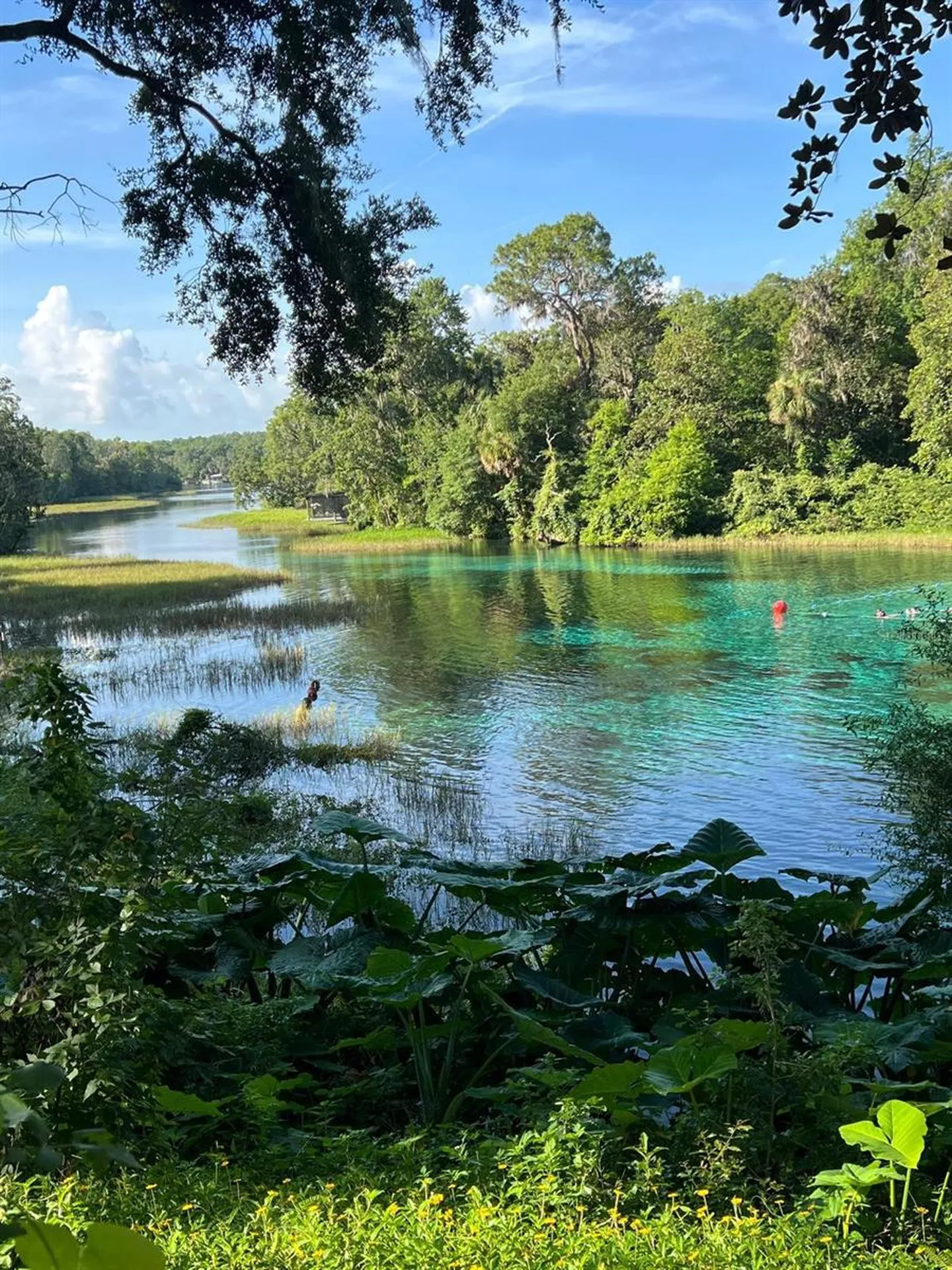 0000 SW Rainelle Road Dunnellon FL 34431