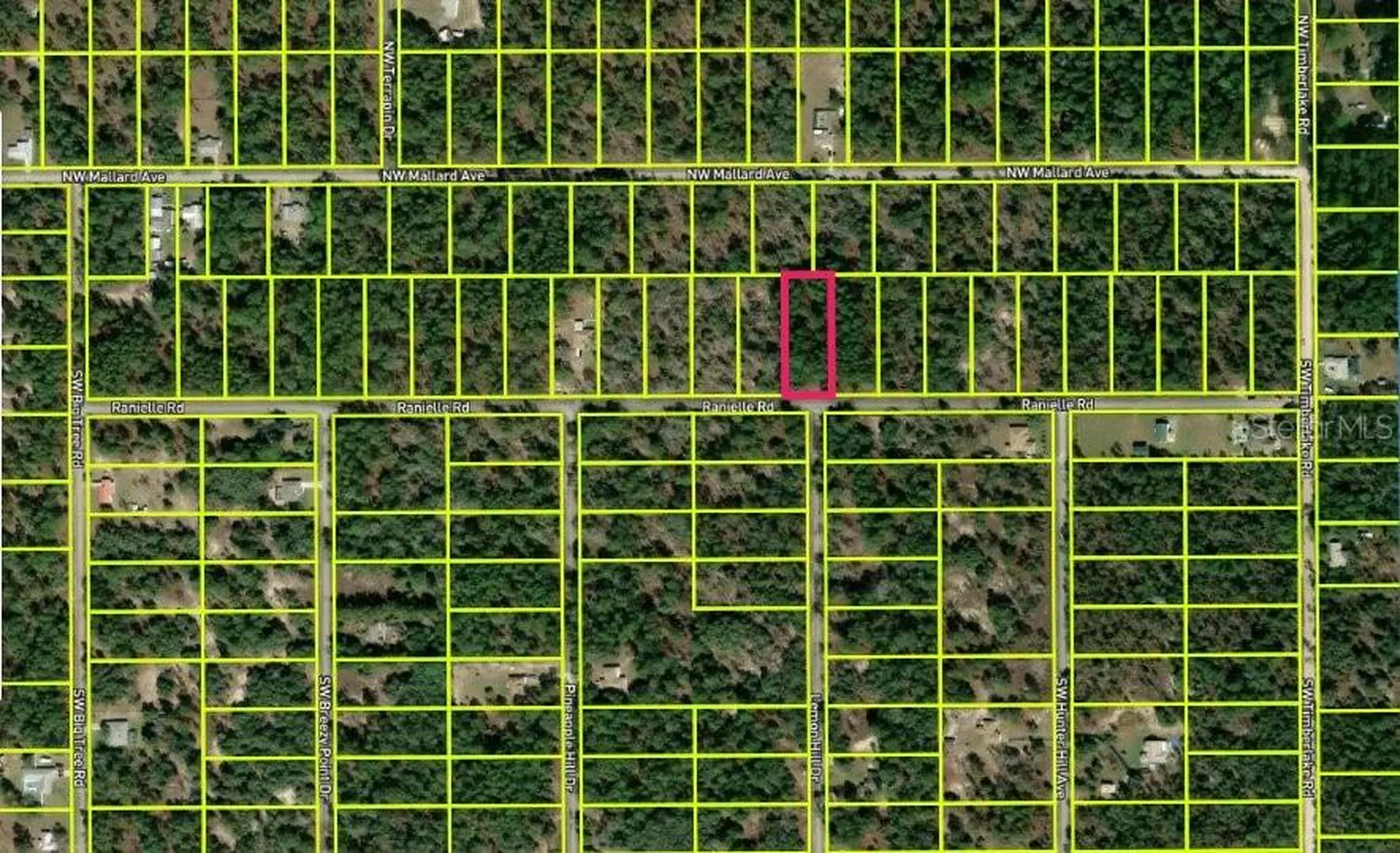 0000 SW Rainelle Road Dunnellon FL 34431