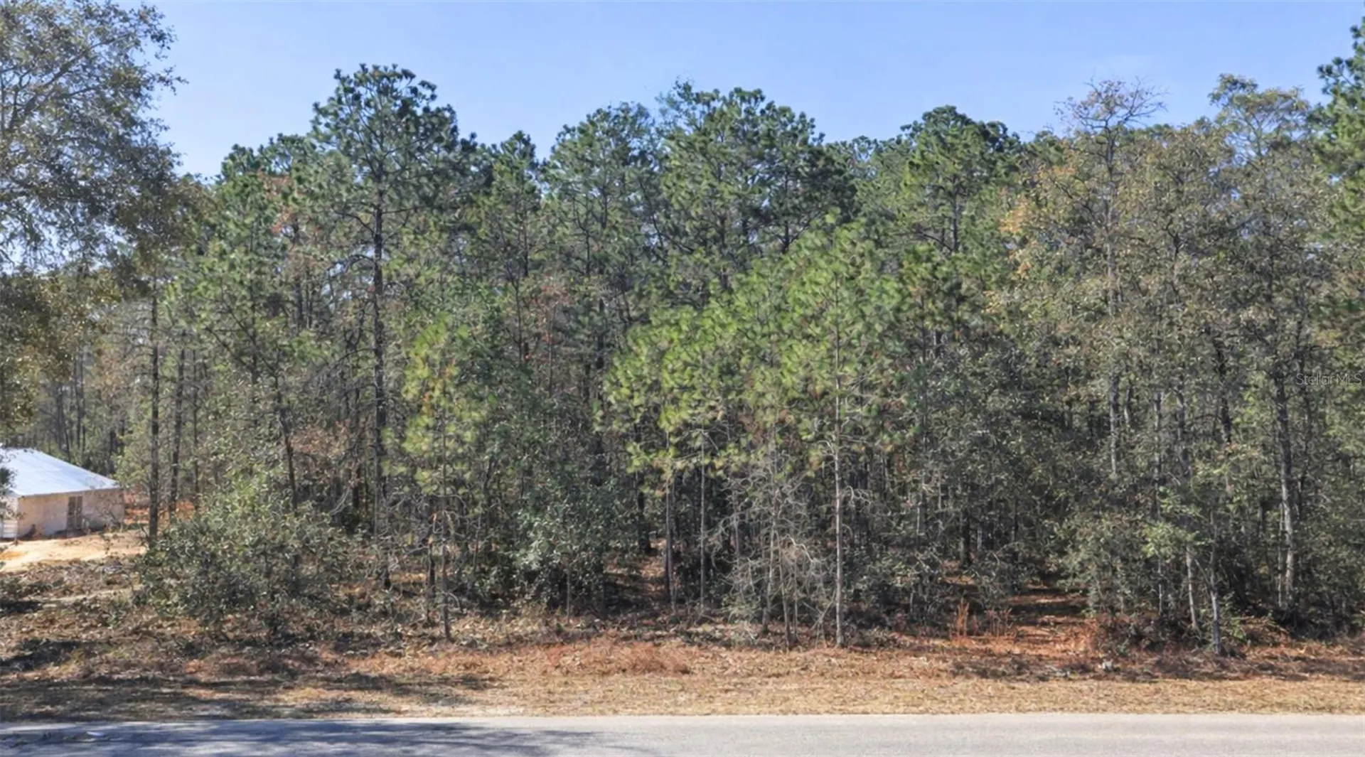 0000 SW Rainelle Road Dunnellon FL 34431