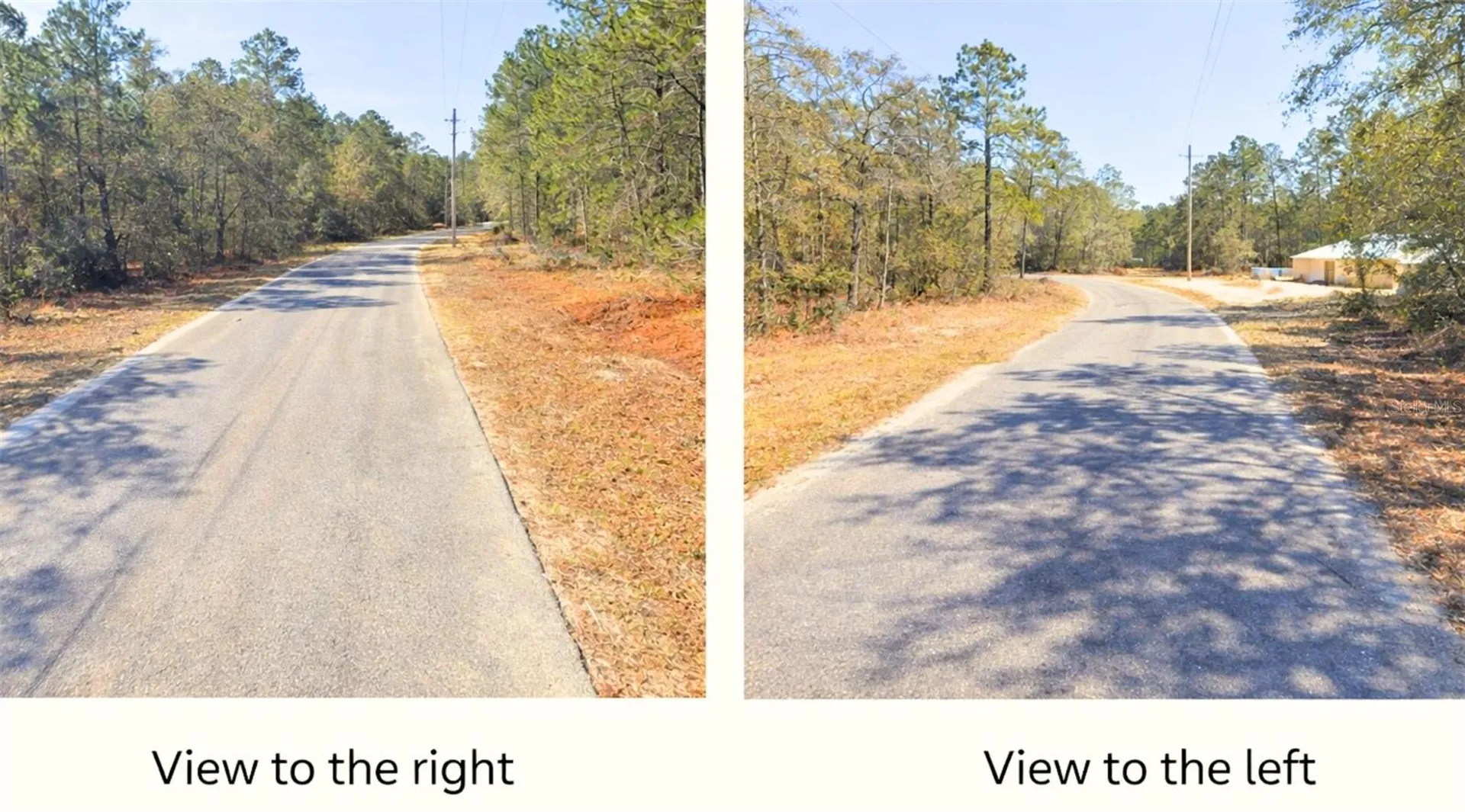 0000 SW Rainelle Road Dunnellon FL 34431