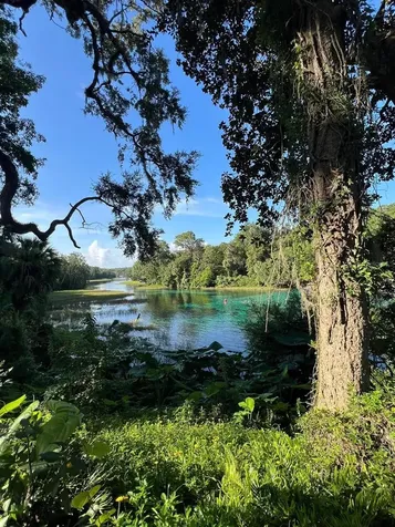0000 SW Rainelle Road Dunnellon FL 34431