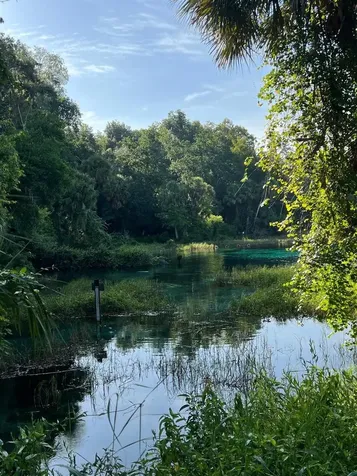 0000 SW Rainelle Road Dunnellon FL 34431