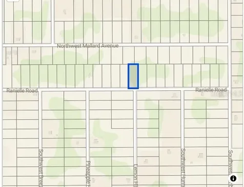 0000 SW Rainelle Road Dunnellon FL 34431