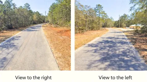 0000 SW Rainelle Road Dunnellon FL 34431
