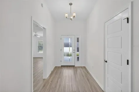 1954 Mcmurtrie Loop The Villages FL 34762