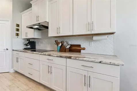 7256 Heather Sound Loop Wesley Chapel FL 33545