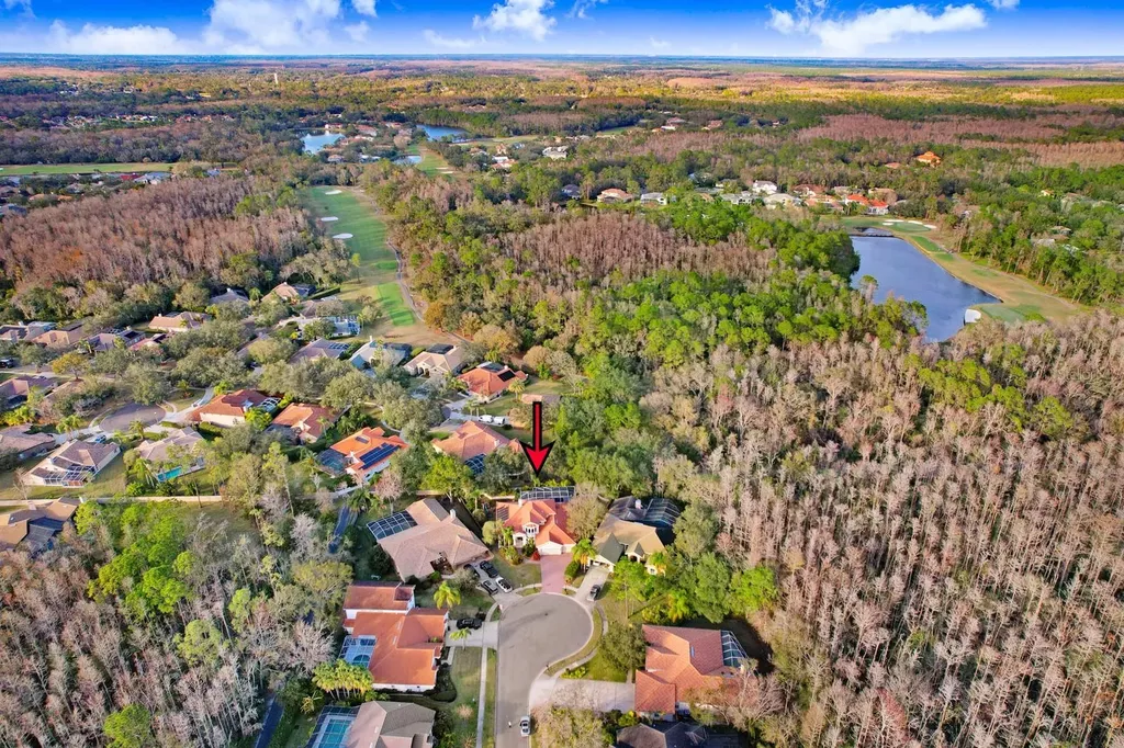 1598 Lockmeade Place Oldsmar FL 34677