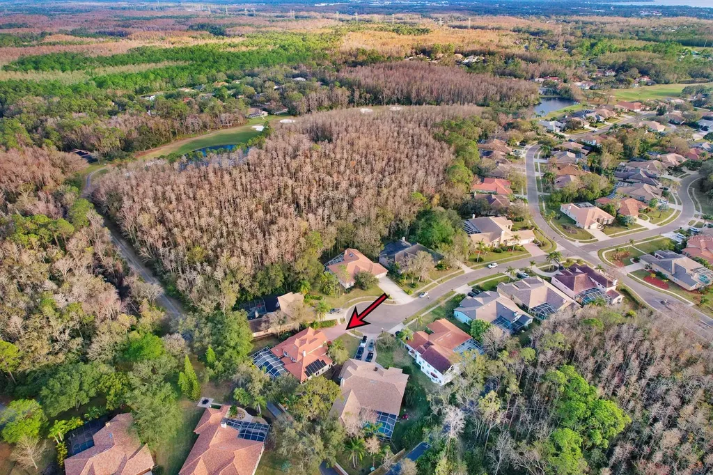 1598 Lockmeade Place Oldsmar FL 34677